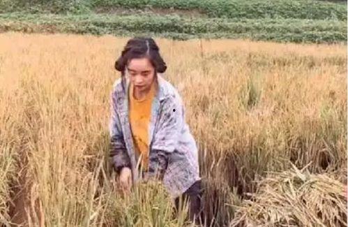 大叔黄琴最新爆料,大叔黄琴最新爆料，带你走进娱乐圈不为人知的真相